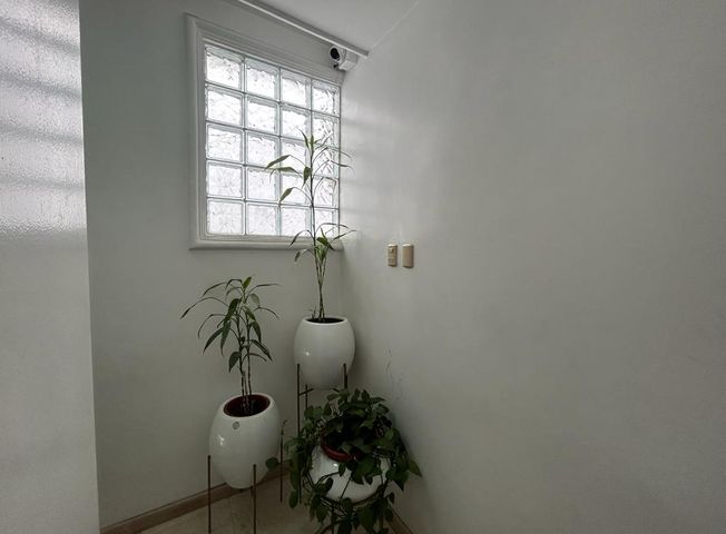 place photo 50