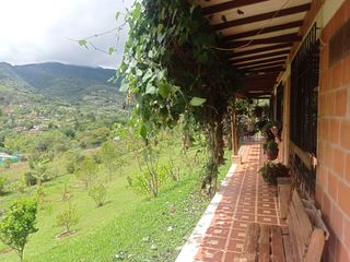 Foto 20 de Venta Finca Tocotá, cerca al crucero de Tocotá Valle