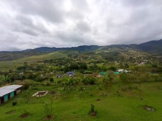 Foto 5 de Venta Finca Tocotá, cerca al crucero de Tocotá Valle