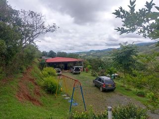 Foto 4 de Venta Finca Tocotá, cerca al crucero de Tocotá Valle