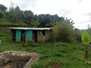 Foto 24 de Venta Finca Tocotá, cerca al crucero de Tocotá Valle