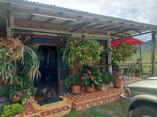 Foto 14 de Venta Finca Tocotá, cerca al crucero de Tocotá Valle