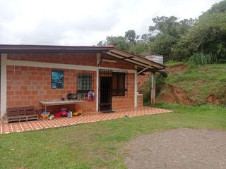 Foto 19 de Venta Finca Tocotá, cerca al crucero de Tocotá Valle