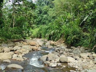 ✅ DE OFERTA VENTA DE SEIS HECTÁREAS Y MEDIA DE TERRENO 65000 m2 $60000 dólares (Comunidad Ganaderos Orenses, Troncal de la Costa, Ecuador).