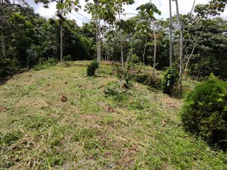 ✅ DE OFERTA VENTA DE SEIS HECTÁREAS Y MEDIA DE TERRENO 65000 m2 $60000 dólares (Comunidad Ganaderos Orenses, Troncal de la Costa, Ecuador).