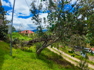 Casa de campo de venta en Paute, Sector Zhumir alto