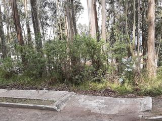 Foto 3 de JARDIN DE CONOCOTO- CONOCOTO - BONITO TERRENO - OPORTUNIDAD !!