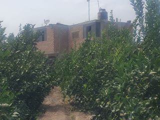 Foto 15 de VENDO TERRENO AGRICOLA A 13 minutos del centro de Huaral y 35m del MegaPuerto de Chancay