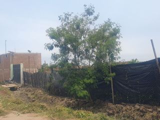 Foto 17 de VENDO TERRENO AGRICOLA A 13 minutos del centro de Huaral y 35m del MegaPuerto de Chancay