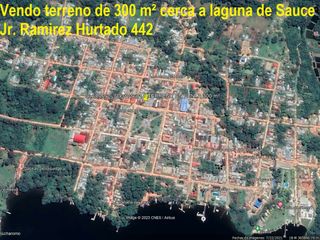 Foto 3 de VENDO TERRENO EN LAGUNA AZUL, SAUCE, TARAPOTO, SAN MARTIN 300 m²
