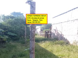 Foto 1 de VENDO TERRENO EN LAGUNA AZUL, SAUCE, TARAPOTO, SAN MARTIN 300 m²
