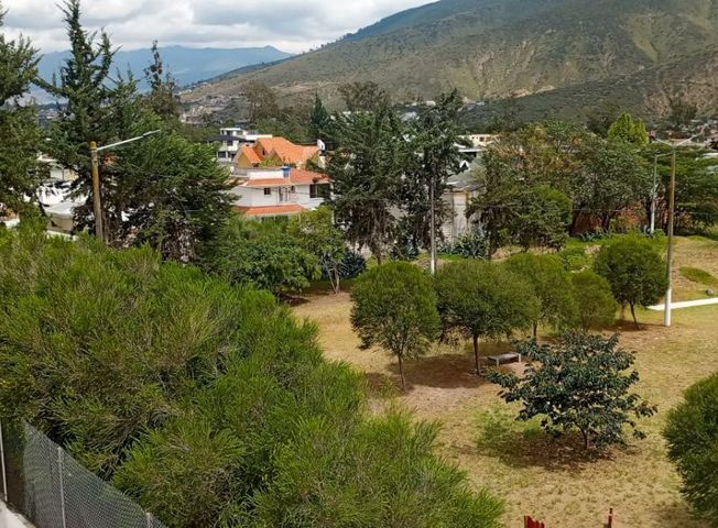 place photo 26
