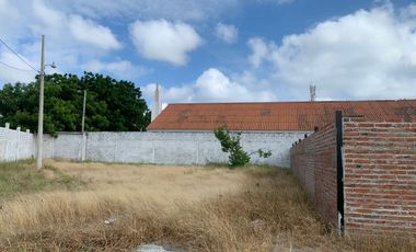 place photo 13