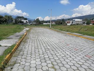 Conocoto - Terreno - Venta - 600 mtrs - Servicios Básicos
