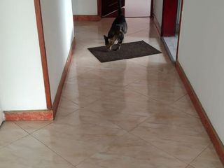 Foto 64 de SE VENDE APARTAMENTO PENTHOUSE