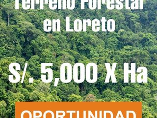 Oportunidad de Inversión - Proyecto Forestal