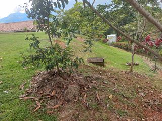 Te vendo esta divina casa finca planita con casa demasiado amplia y excelente terminado, bien barata en Barbosa.