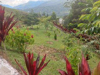 Te vendo esta divina casa finca planita con casa demasiado amplia y excelente terminado, bien barata en Barbosa.