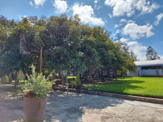 Foto 4 de Quinta de venta en Guayllabamba, Bello Horizonte 2, La Victoria.