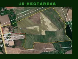 Foto 2 de Terreno en Bagua, 15 hectáreas