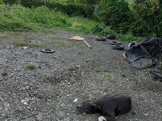 Foto 6 de Te vendo este parqueadero  planito o para hacer apartamentos, ya que tiene el permiso en Cisneros.