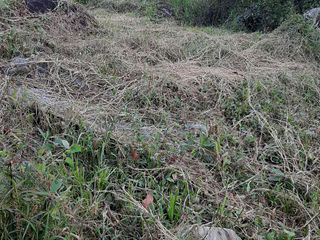 Foto 15 de Te vendo este parqueadero  planito o para hacer apartamentos, ya que tiene el permiso en Cisneros.