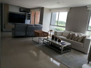 Foto 4 de APARTAMENTO AMOBLADO EN ARRIENDO RIO ALTO #10716146