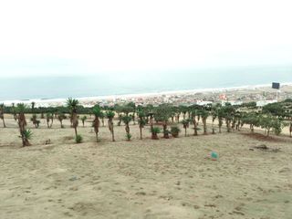 Foto 18 de TERRENO FRENTE AL MAR EN EXCLUSIVO CONDOMINIO MAR Y BOSQUES VISTA PANORAMICA FRENTE AL MAR