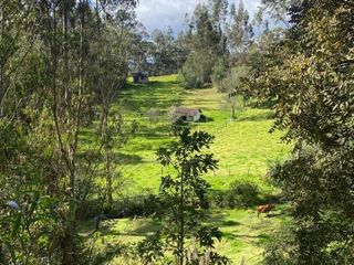 Oportunidad hermoso Terreno en venta 5.218m2 sector El Valle - Maluay