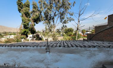 place photo 54