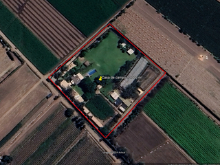 Foto 45 de VENDO CASA DE CAMPO 10,000 M² KM 86 PAN SUR MALA