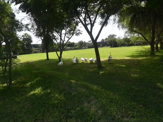 Foto 27 de VENDO CASA DE CAMPO 10,000 M² KM 86 PAN SUR MALA