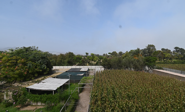 place photo 34
