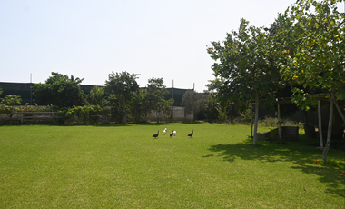 place photo 30