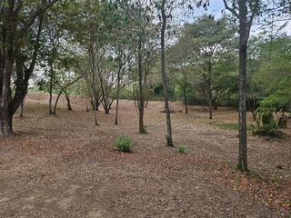 Foto 6 de Lote en venta en exclusivo conjunto en Ricaurte- cundinamarca