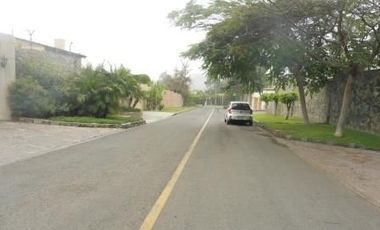 place photo