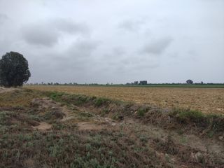 Foto 5 de ¡Terreno en Venta en San Clemente, Pisco! 🌴