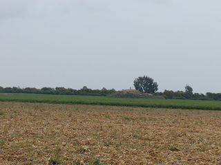Foto 4 de ¡Terreno en Venta en San Clemente, Pisco! 🌴
