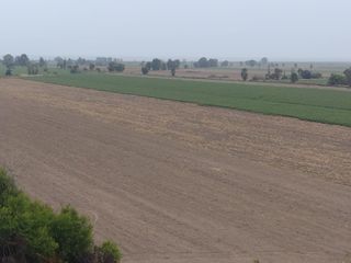 Vendo Terreno en Pisco- apto para cultivo y excelente ubicacion