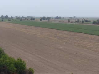 Foto 6 de ¡Terreno en Venta en San Clemente, Pisco! 🌴