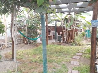 Foto 19 de VENTA DE CASA DE CAMPO DE 410 M2-CERRO AZUL-CAÑETE