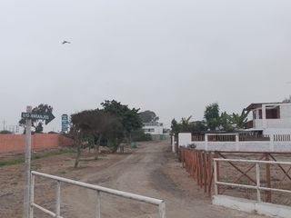Foto 23 de VENTA DE CASA DE CAMPO DE 410 M2-CERRO AZUL-CAÑETE