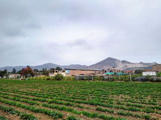 Terreno en Lurín para Actividades Agricolas, Casas de Campo