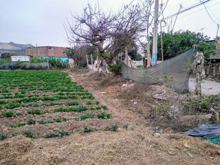 Foto 6 de Terreno en Lurín para Hospedaje, Centro de Eventos, Restaurantes Campestres