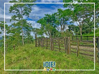 Foto 2 de Se vende: Finca Agricola/Ganadera, Ubicada en TURRIAGA, del Cantón 