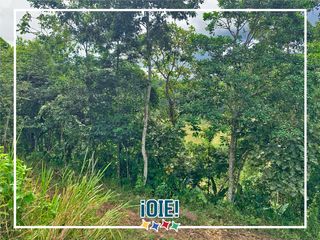 Foto 7 de Se vende: Finca Agricola/Ganadera, Ubicada en TURRIAGA, del Cantón 