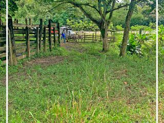 Agricultural Livestock Farm for Sale Located in 