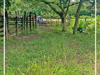 Foto 15 de Se vende: Finca Agricola/Ganadera, Ubicada en TURRIAGA, del Cantón 