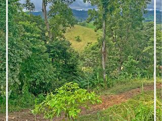 Foto 10 de Se vende: Finca Agricola/Ganadera, Ubicada en TURRIAGA, del Cantón 