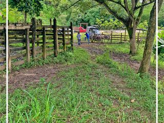 Foto 16 de Se vende: Finca Agricola/Ganadera, Ubicada en TURRIAGA, del Cantón 